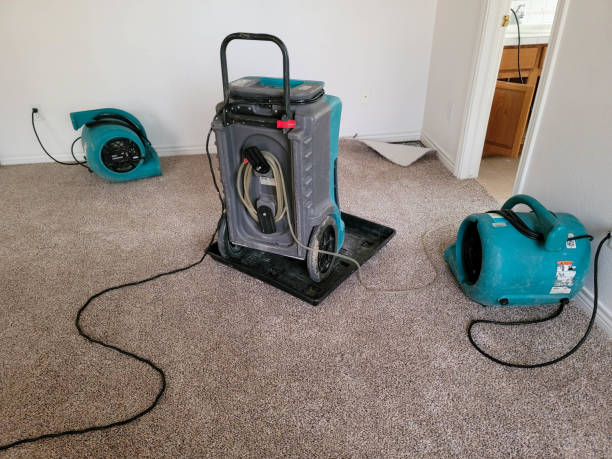  Avila Beach, CA Water damage restoration Pros