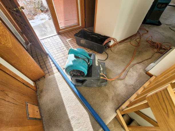 Best Flood restoration services  in Avila Beach, CA
