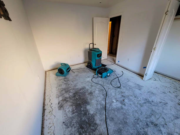 Best Water damage cleanup near me  in Avila Beach, CA