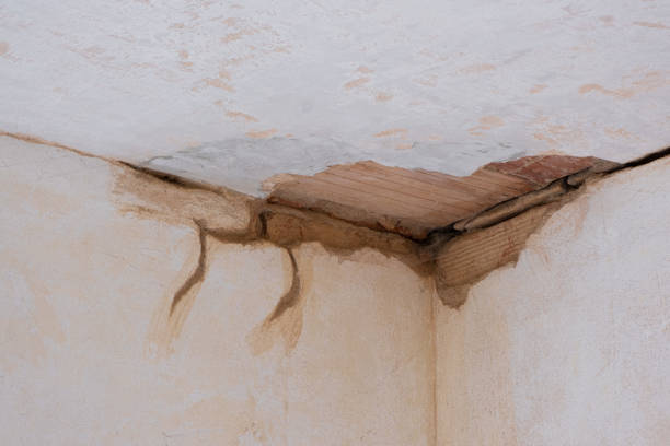 Best Water damage contractors near me  in Avila Beach, CA