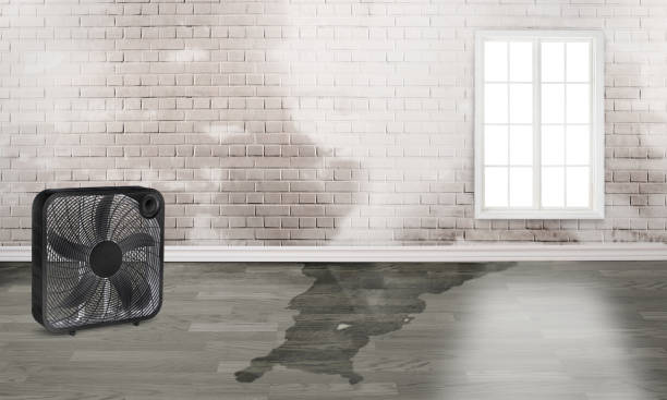 Best Fire Damage Restoration  in Avila Beach, CA