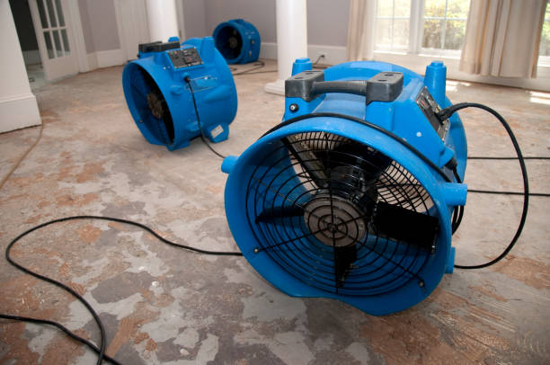 Best Flood damage cleanup  in Avila Beach, CA