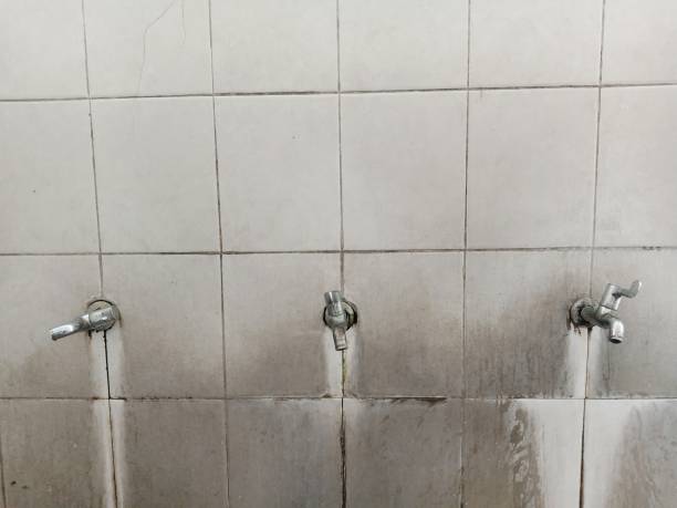 Best 24/7 water damage repair  in Avila Beach, CA