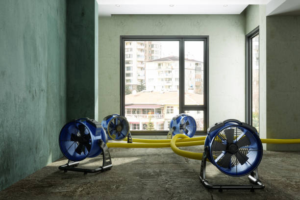 Best Residential water damage restoration  in Avila Beach, CA